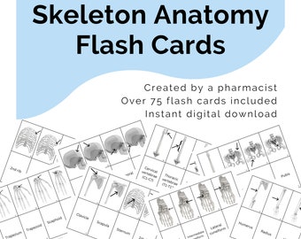 Skeletal System Flash Cards Printable Digital Download, Med School Test Prep, Nursing Study Guide, Anatomy Flashcards, Physiology Exam Prep
