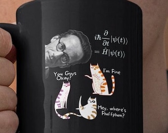 Schrödinger’s Cat Gift for Physics Teachers and Students under 15 USD Coffee Mug Quantum Mechanics Gift, Science Nerds and Astrophysics Cup