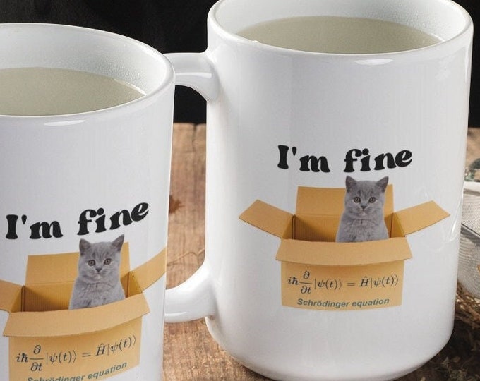 Gift for Engineers under 15 USD, Schrödinger's Cat Coffee Mug: Funny Quantum Physics Gift 15oz Tea Cup, or Can be Both Tea and Coffee?