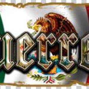 Guerrero estado bandera de mexico, Mexican Flag, Aguila mexicana,  Diseños mexicanos, png sublimation, Camisa del estado de Michoacan, DTF