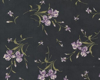 Iris & Ivy Small Iris Ebony 225315 MODA patchwork quilting fabric per half metre