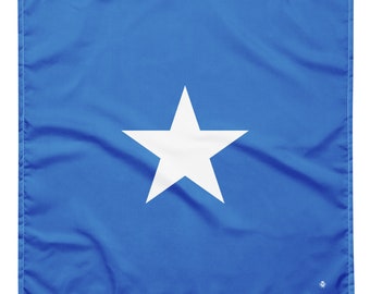Bandana mit Somalia-Flagge – afrikanische Flaggen – weich und waschbar – Kopftuch – Stirnband, Krawatte, Armband – Haustier-Bandana