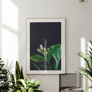 Sampaguita Buds, Pinoy Art, Philippines Art, Filipino Art Decor, Filipino Wall Art, Filipino Art, Digital Download