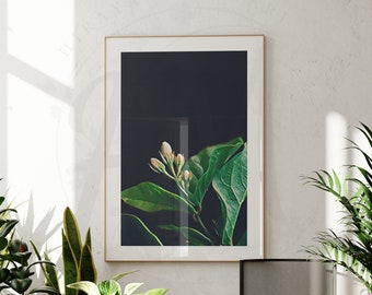 Sampaguita Buds Print: Filipino Floral Wall Art (Digital Download)