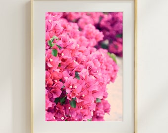Palm Springs, Digital Photo, California, Bougainvillea, Pink, Art, Flower, Bohemian, Download, Wall Art