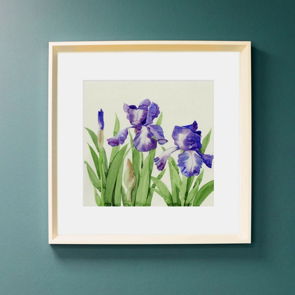 Iris Flower Art - Etsy