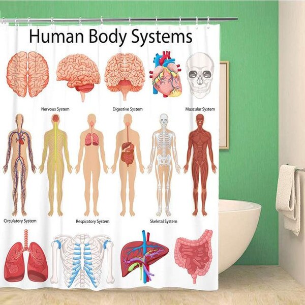 Anatomy Bone Pattern Print Bathroom Shower Curtain