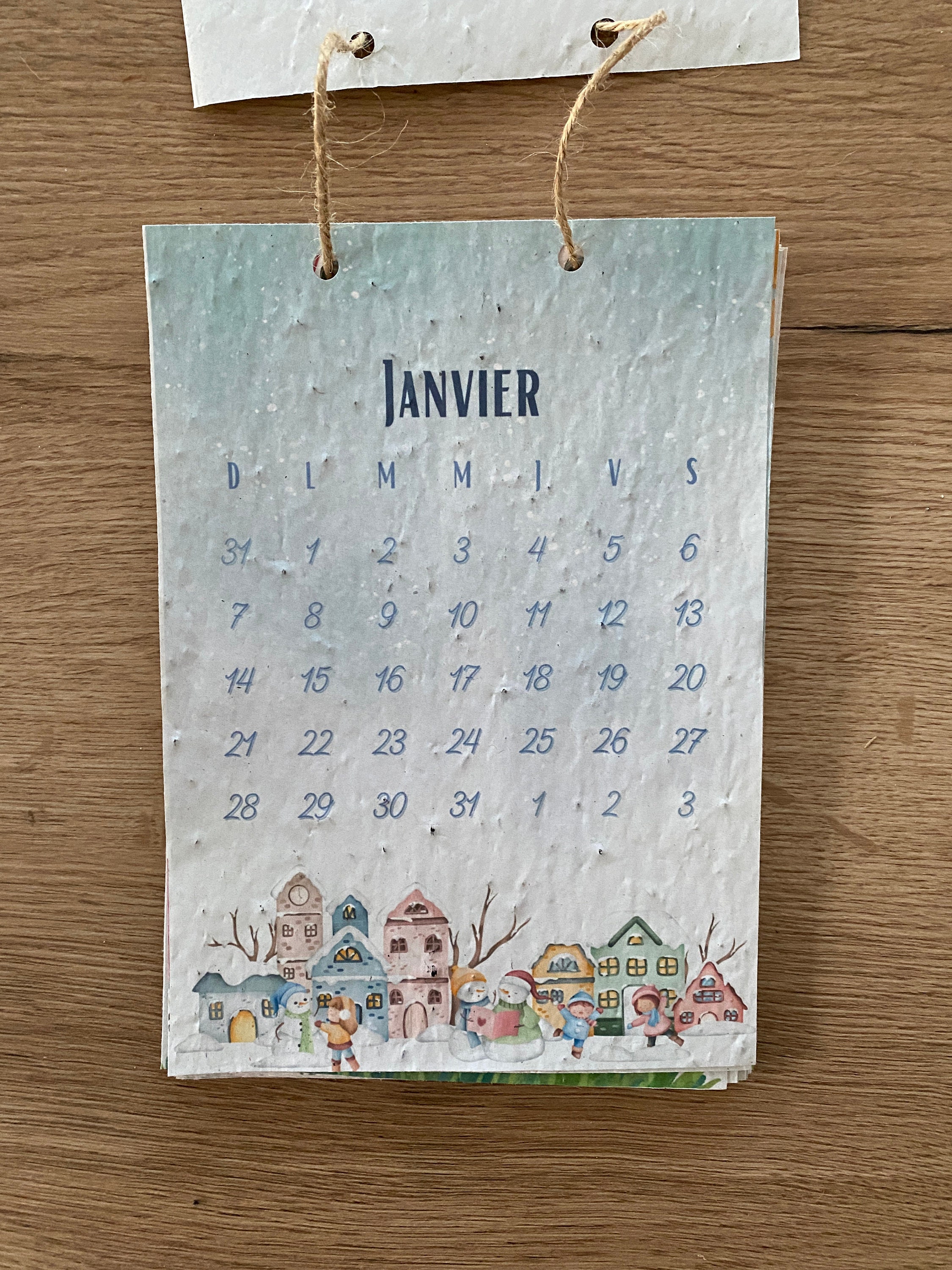 Planting Calendar 2024 Calendar Seed Calendar Etsy
