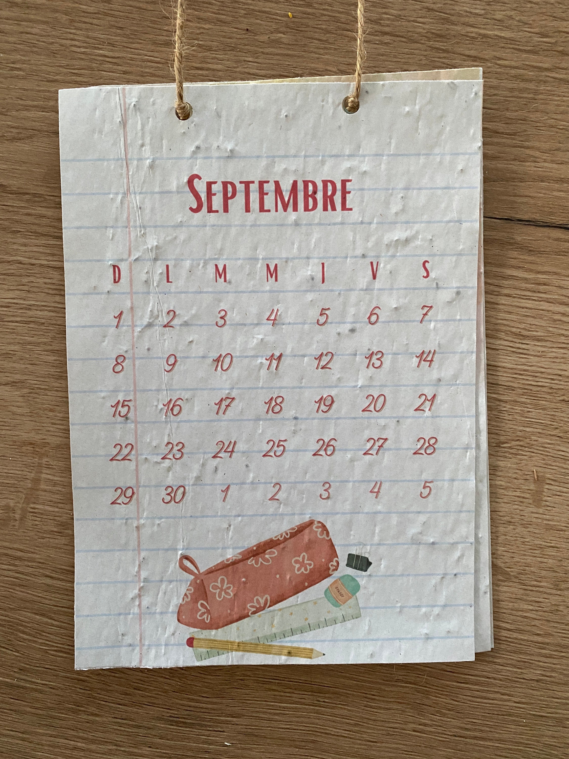 Planting Calendar 2024 Calendar Seed Calendar Etsy