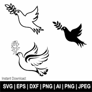 Pigeon Svg, Dove Svg, Bride Svg, Dove Vector Svg, Dove Clipart, T Shirt Svg, Pigeon Png, Svg Cut Files Cricut, Silhouette, Instant Download