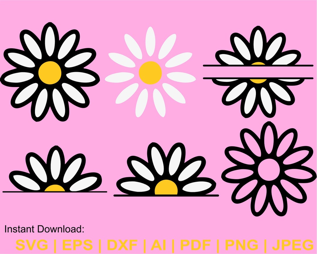 Daisy Svg Bundle, Daisy Flower Svg, Spring Svg, Daisy Flower Split