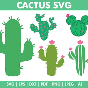 Pacote de cactos Svg, flores suculentas Svg, arquivos de cactos Svg, clipart de cactos, flor de cacto Svg, download digital, arquivo de corte Cricut Silhouette