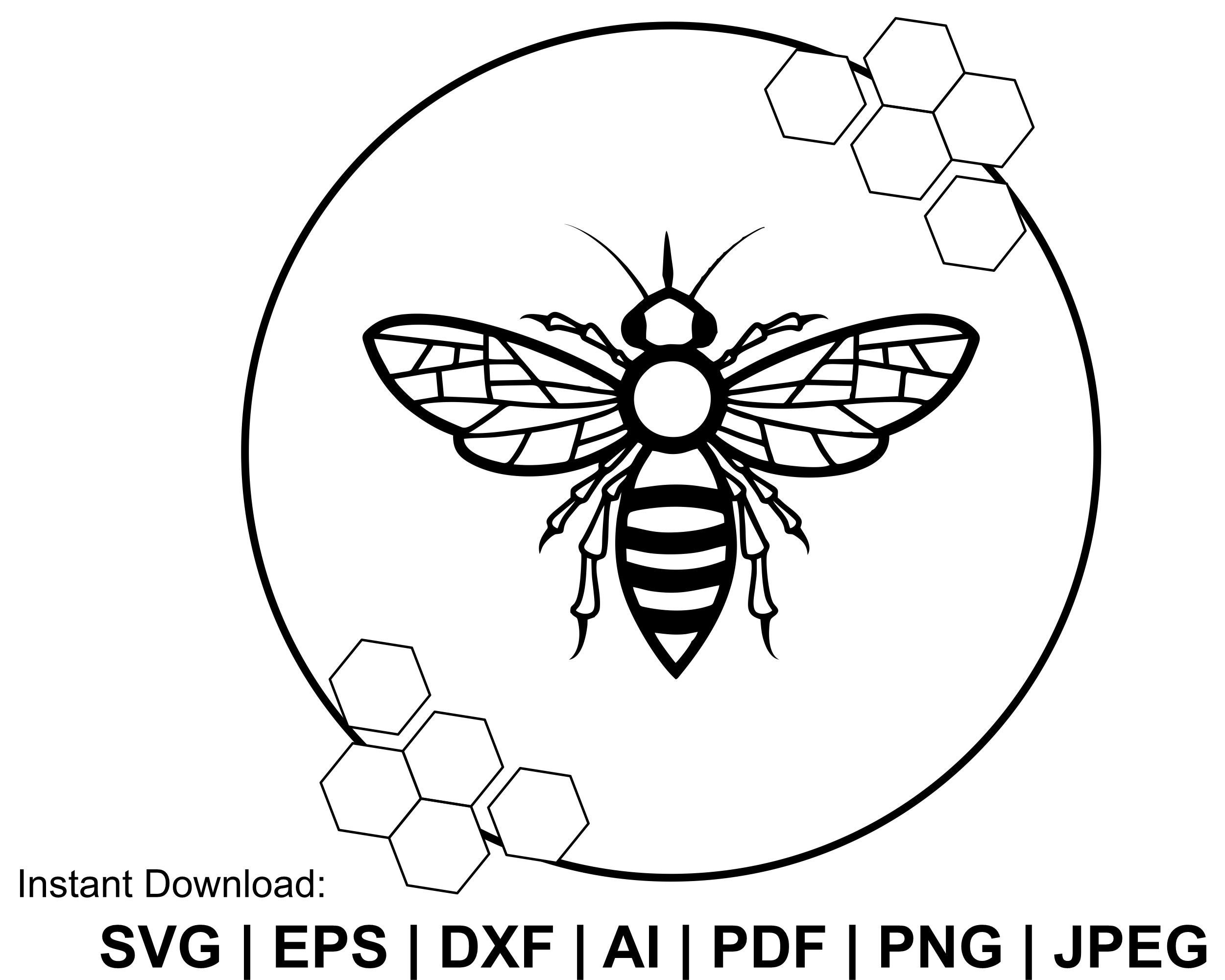 Bee Svg Bee Honey Frame Svg Honey Svg Honey Bee Svg Bee Etsy Australia