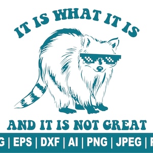 Racoon Svg, é o que é e não é ótimo Svg, Funny Racoon Svg, Trash Panda Svg, Design de camiseta, Png Cut Files Cricut, Silhouette