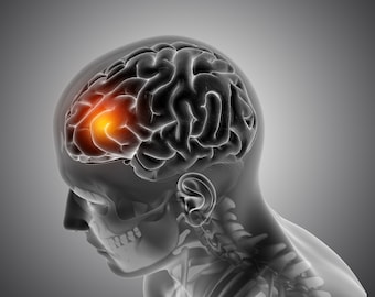 Pack de fréquences Rodin Vortex Coil pour nerfs crâniens