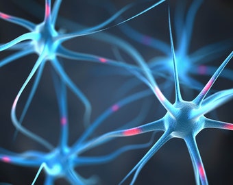 Pack de fréquences Rodin à bobine Vortex pour neurorécepteurs du foyer