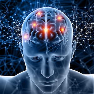 Puede incluir: Una ilustración 3D de una cabeza humana con un cerebro visible. El cerebro se destaca con áreas rojas y naranjas, lo que sugiere áreas activas.