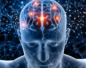 May include: A 3D illustration of a human head with a visible brain. The brain is highlighted with red and orange areas, suggesting active areas.