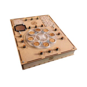 Radionic Machine, The Big Wishing Box 8 desideri, 15 quadranti + 8 desideri, un totale di 11 input (The Destiny Machine Plus 2.0)