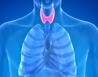 Vortex Spule Rodin Frequenzen Pack für Schilddrüse Hypophyse Zirbeldrüse