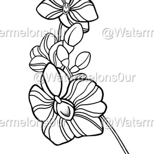 Orchid tattoo design