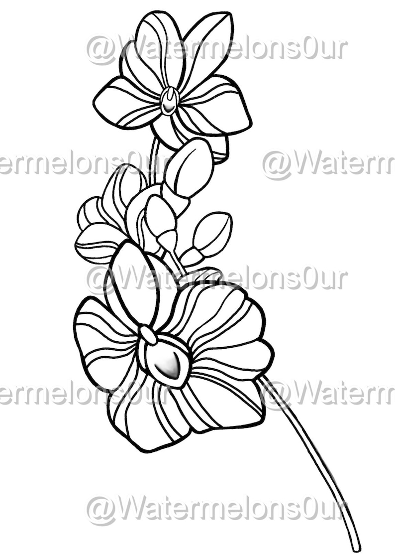 Orchid Tattoo Design Etsy