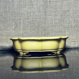 Keramische bonsaipot, wolkvorm, ovale bonsaiboompot, maat 6,5&quot;, aardewerk, unieke bonsai met ongeglazuurde