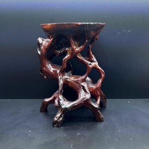 May include: A dark brown wooden display stand featuring a natural, gnarled root-like structure with an open, organic design. The top surface is circular and flat, supported by multiple interconnected, twisted branches that form a stable base.