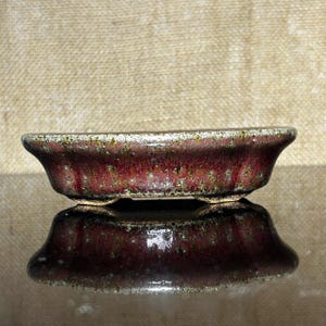 Op de afbeelding: Een kleine, ovale bonsai pot met een glanzend, roodbruin glazuur. De keramische pot heeft een licht uitlopende rand en staat op kleine voetjes. Het oppervlak heeft een gespikkeld uiterlijk met hints van groen en bruin.