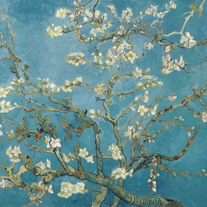 Vincent Van Gogh - Almond Blossoms Reproduction Print In a Frame Birthday Gift Housewarming