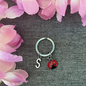 May include: Silver keyring with a dangling letter "S" charm and a red and black ladybird charm. The keyring is on a grey textured background, with pink flower petals in the background.
