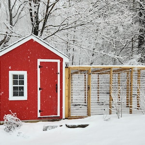 DIY Chicken Coop Run Plans – 6×10, 8×10 or 10×10 Walk‑In Enclosure PDF Blueprint