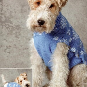 May include: A Wire Fox Terrier dog wearing a light blue sweater with white snowflake patterns. The sweater has a button closure on the side. The dog has tan and white fur and is sitting in front of a gray background.