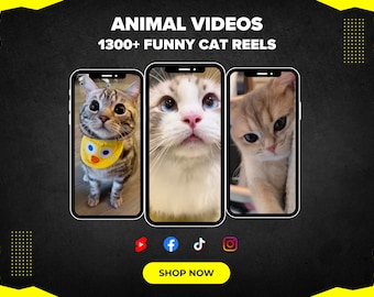 May include: Image promoting "Animal Videos" with "1300+ Funny Cat Reels." Three smartphones display close-up images of cats. The background is black with yellow accents. Social media icons for YouTube, Facebook, TikTok, and Instagram are present, along with a "Shop Now" button.