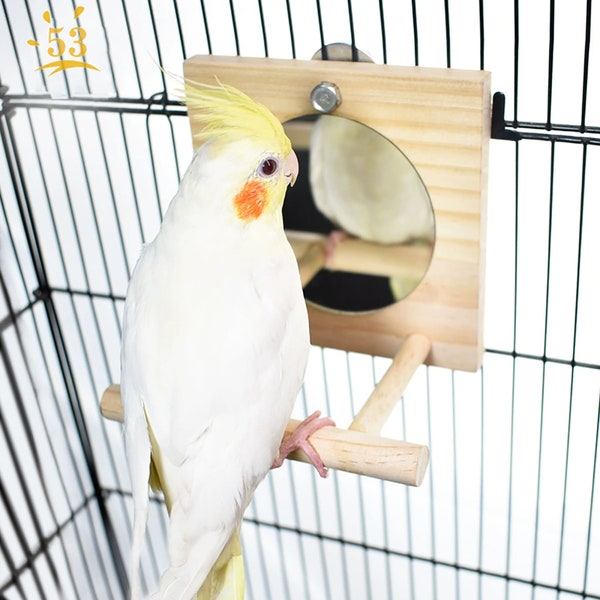 Bird mirror station/parrot toys/parrot foot grinding stick/bell toys/small and medium-sized parrot supplies