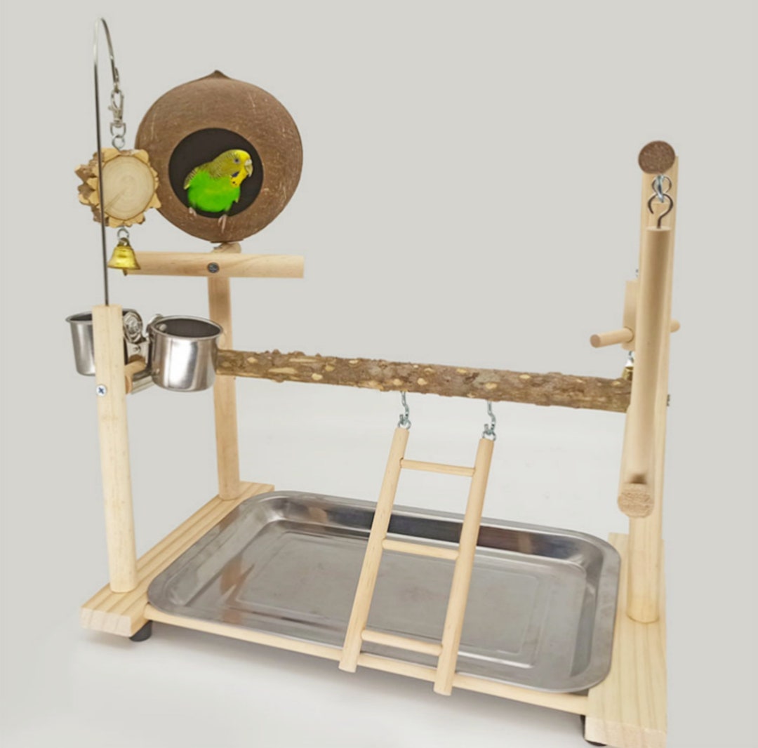 Parrot Bird Stand/natural Tree Stand/pet Bird Toys/parrot Playground