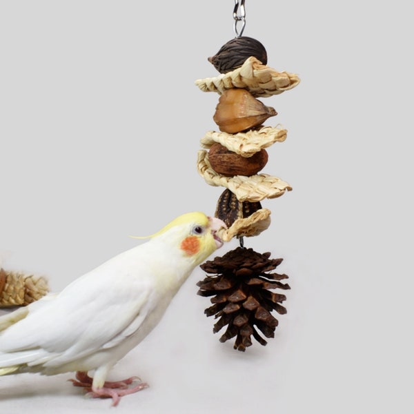 Dried Fruit for Birds Etsy