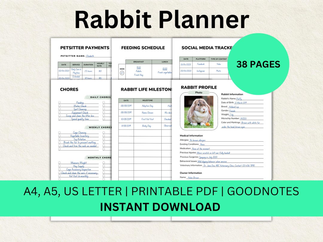 Rabbit Planner Rabbit Bundle Planner Printable Goodnotes Rabbit Log ...