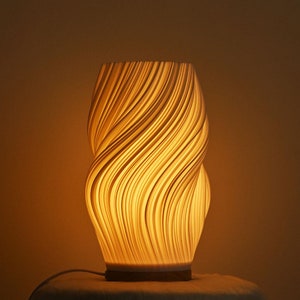 2 Color Lighting 3D Printed Lamp, Art Decoration For Home, Bedroom Table Lamp