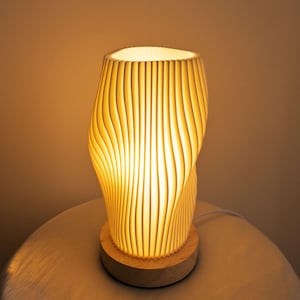 Mini 3D Printed Table Lamp For Desk, PLA Lampshade, Wood Base, 2 Colors Adjustable Lighting