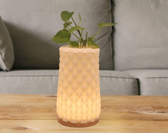 3D Printed Vase Lamp, 3 Colors Adjustable Lighting, Wedding Decoration, USB Cable