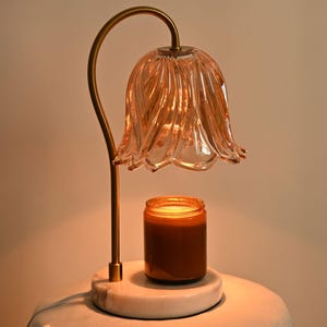 Elektrische Schmelzwärmer-Lampe, Aromatherapie-Diffusor, Rauchfreie Wachs-Sicherheitskerzenlampe, Geschenk für Sie