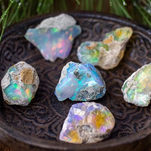 Peut inclure: Une collection de six pierres d'opale brutes dans différentes nuances de bleu, vert et blanc, présentées sur un plat orné brun foncé.
