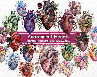 May include: A collection of 38 watercolor illustrations of anatomical hearts with floral embellishments. Each heart is intricately detailed and features a variety of flowers, leaves, and vines. The hearts are painted in a variety of colors, including red, pink, blue, green, and purple.