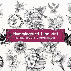 Kolibrie lijntekeningen, 43 PNG set, zwart-witte kolibries met bloemen illustraties, transparante achtergrond, digitale papier ambachtelijke