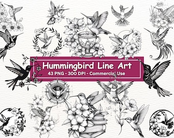 Hummingbird Line Art: Black and White PNG Clipart Set (Digital Download)