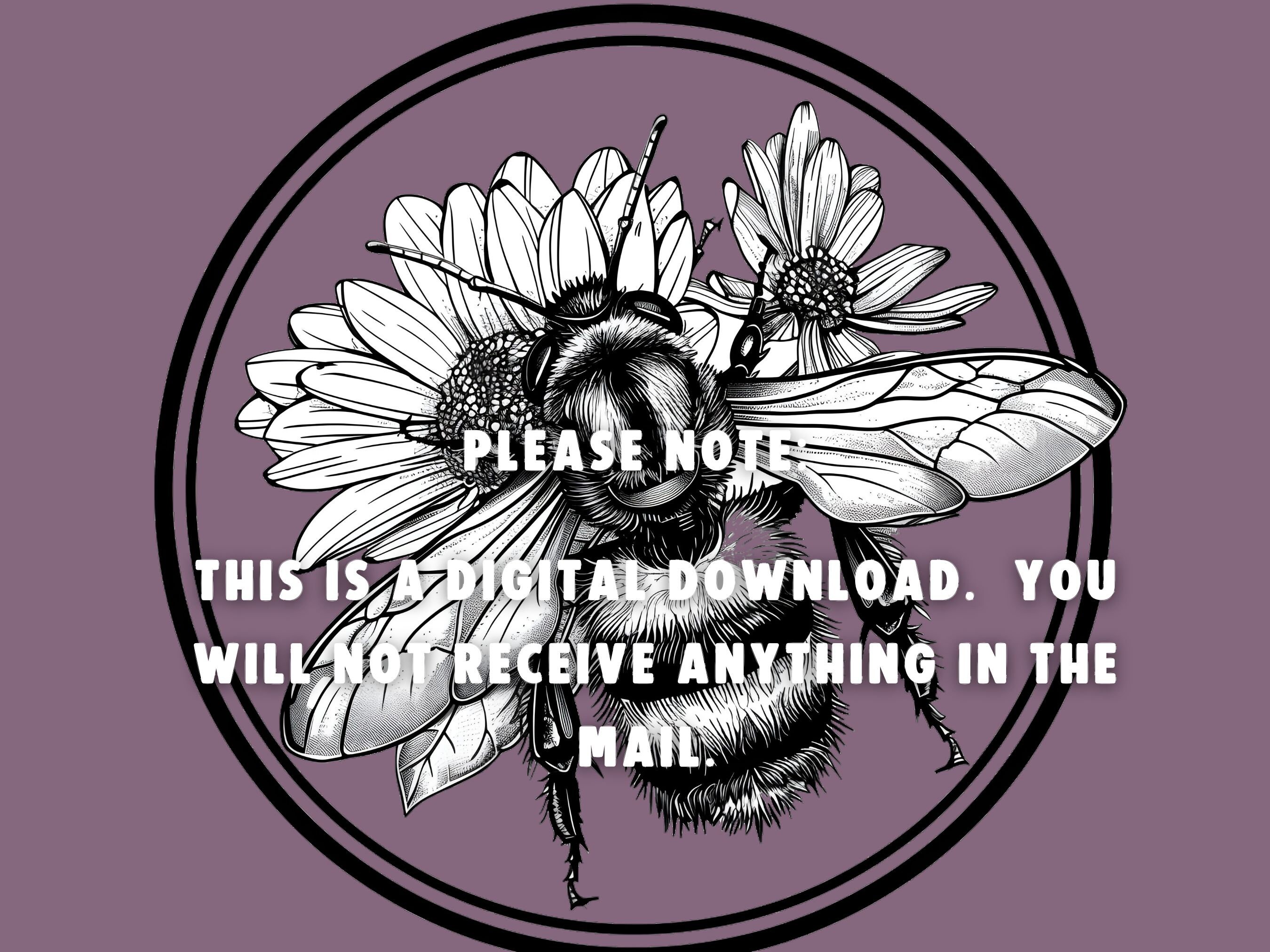 Bee Clipart: Black and White Honeycomb, Hive, Flowers (42 PNG Set ...