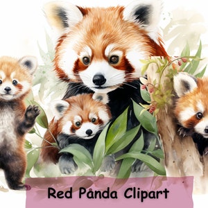 Baby Red Panda Clipart, 10 PNGs, kinderkamer kunst, digitale planner, aquarel, kaart maken, journaling, digitale download, sublimatie