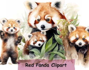 Watercolor Red Panda Clipart: Nursery Art PNGs (Digital Download)