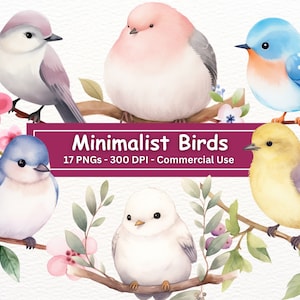 Clipart oiseau aquarelle minimaliste, 17 fichiers PNG, art pour chambre d'enfant, fabrication de cartes, clipart oiseau mignon simple, créations numériques en papier, usage commercial